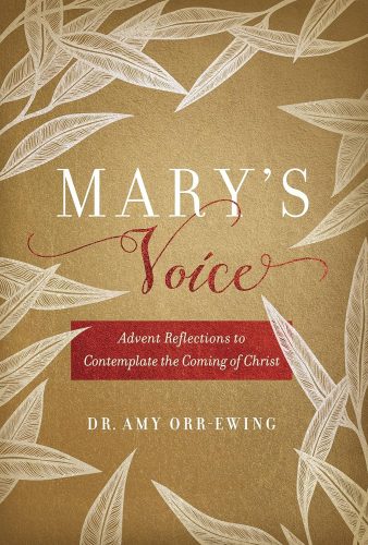Read more about the article Dr Amy Orr-Ewing – Mary’s Voice: Advent Reflections to Contemplate the Coming of Christ